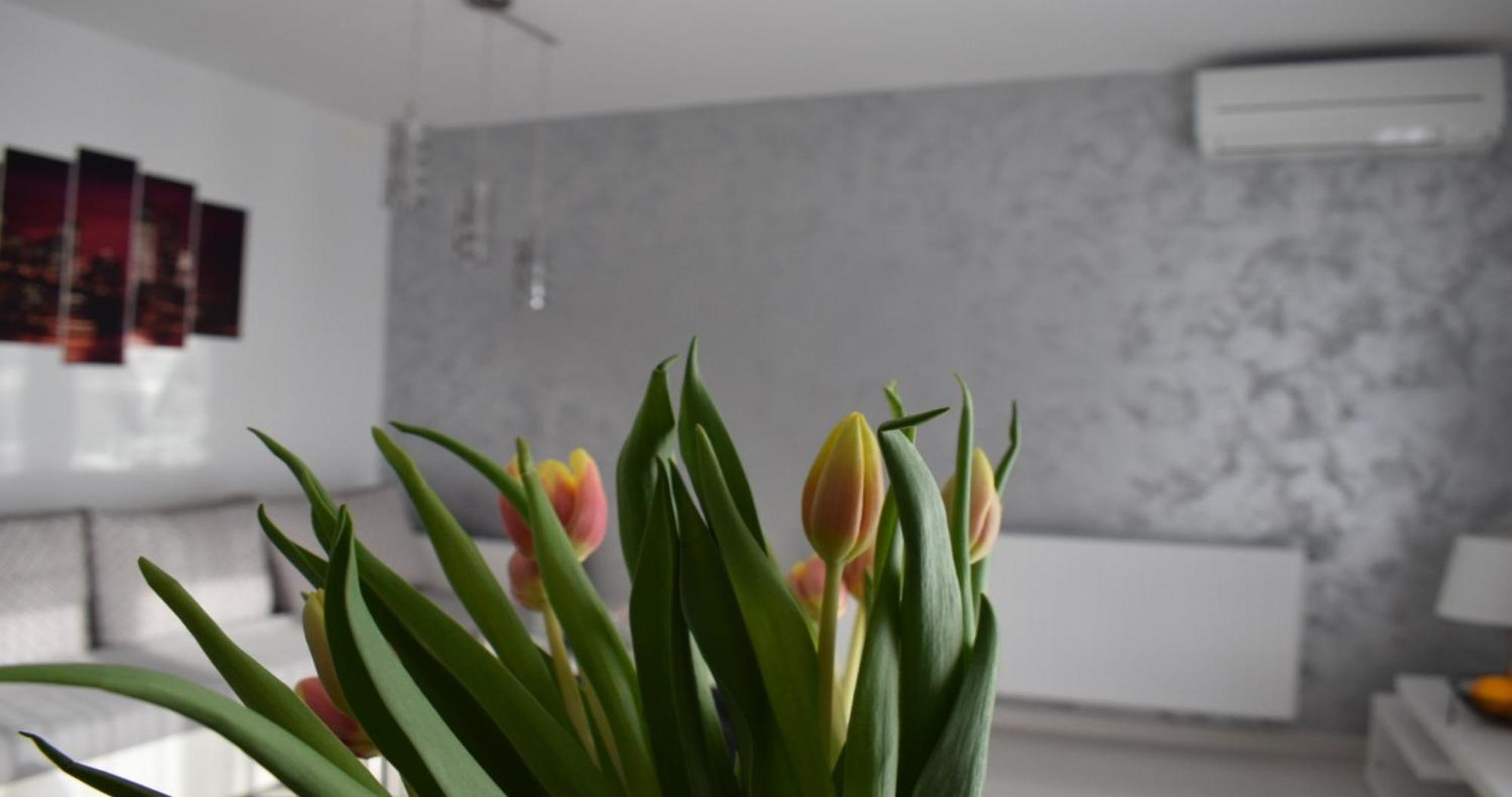 Apartmani Foresta Kras Exteriér fotografie