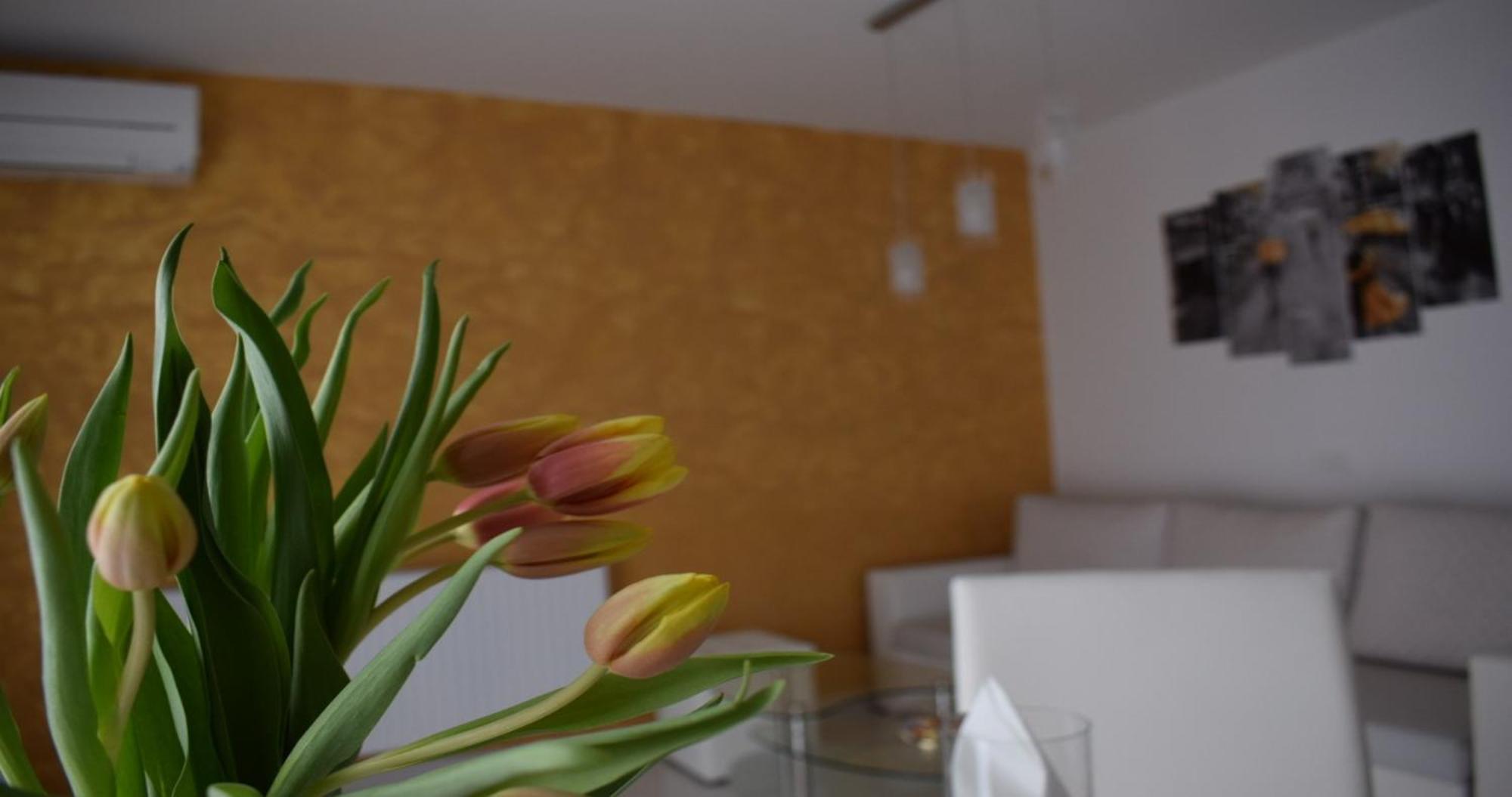 Apartmani Foresta Kras Exteriér fotografie